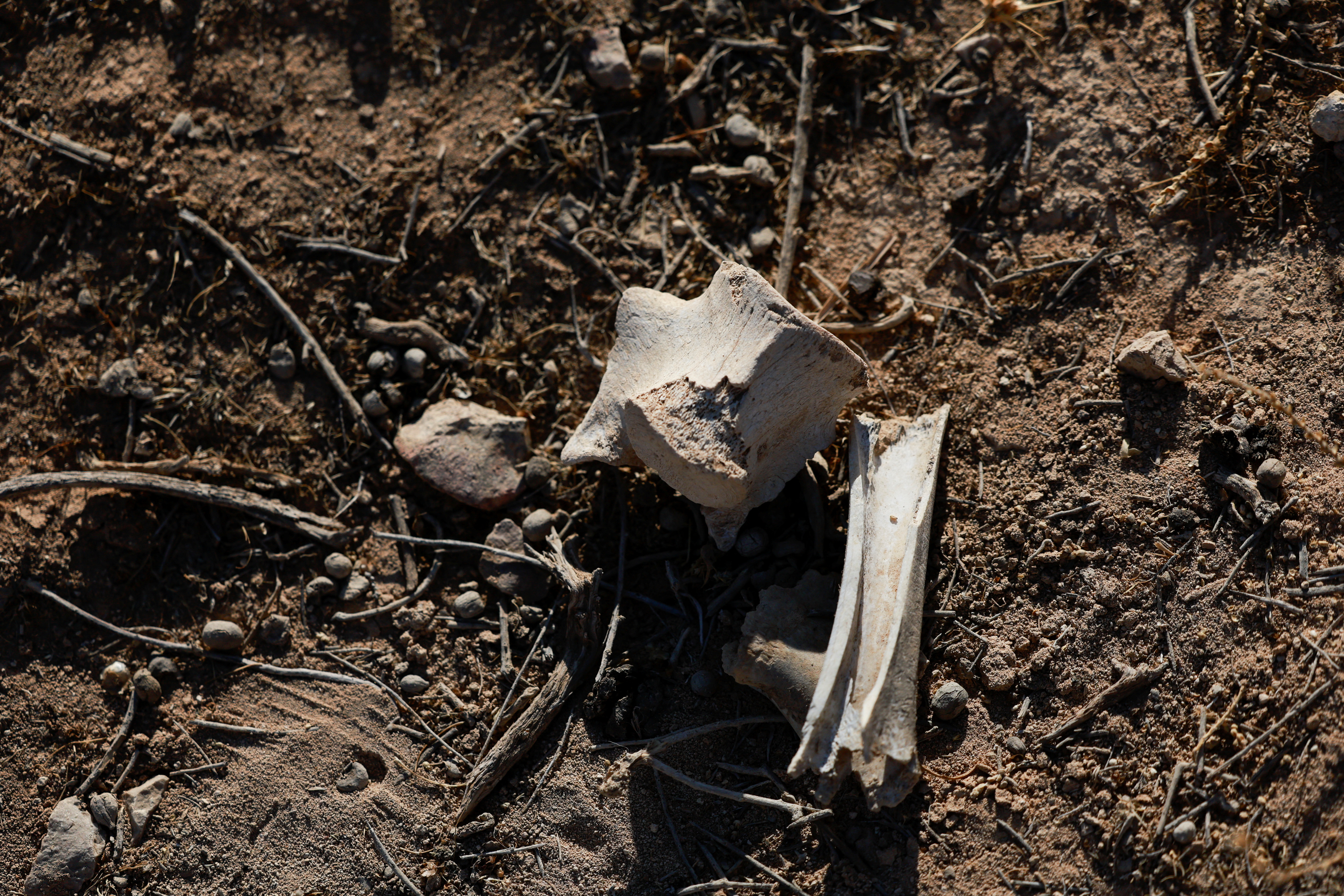 Bones are seen at the site of a mass grave, in Najha