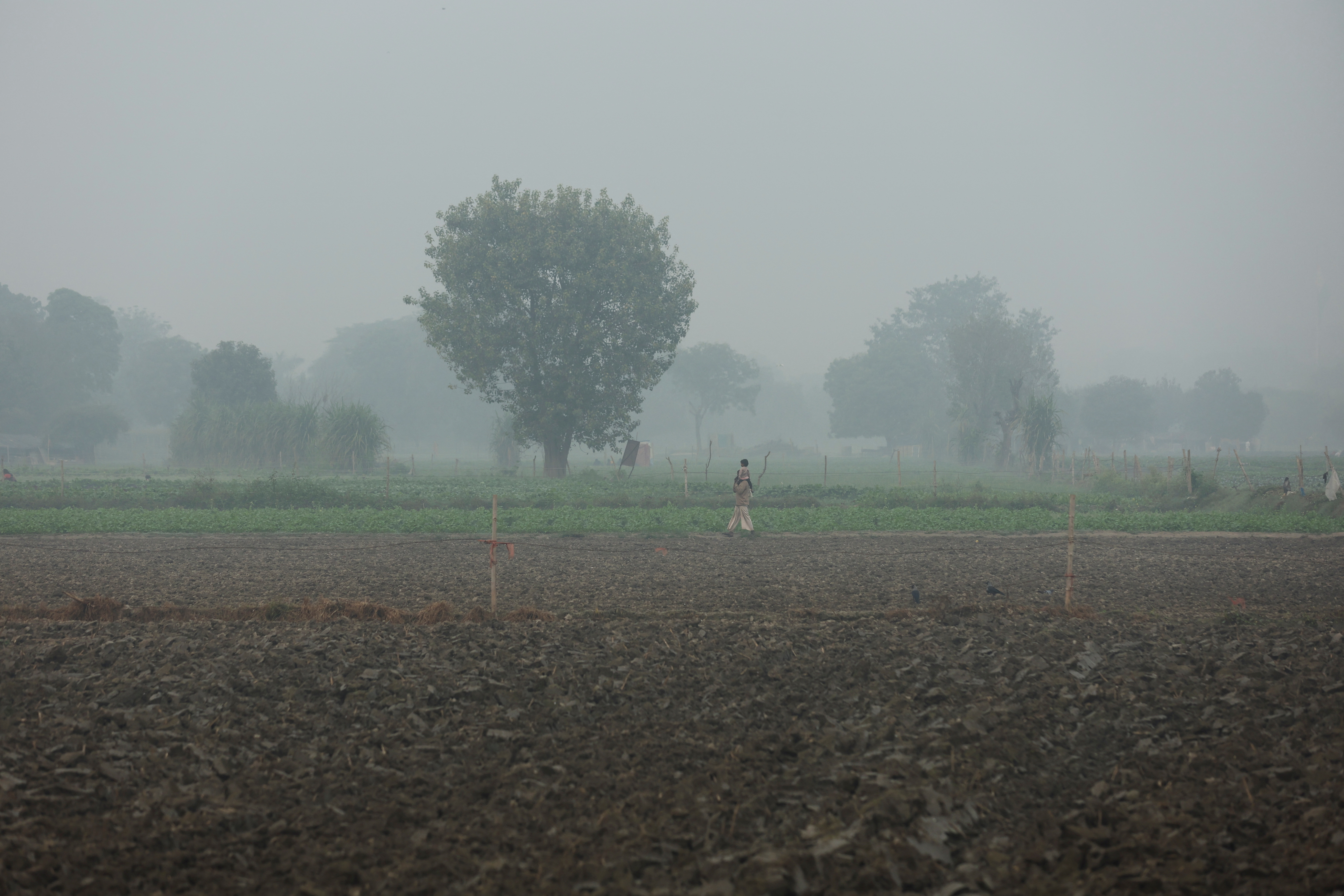 A man carrying a child on his shoulder walks across a field amidst the morning smog in New Delhi