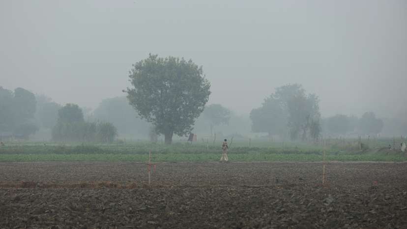 A man carrying a child on his shoulder walks across a field amidst the morning smog in New Delhi