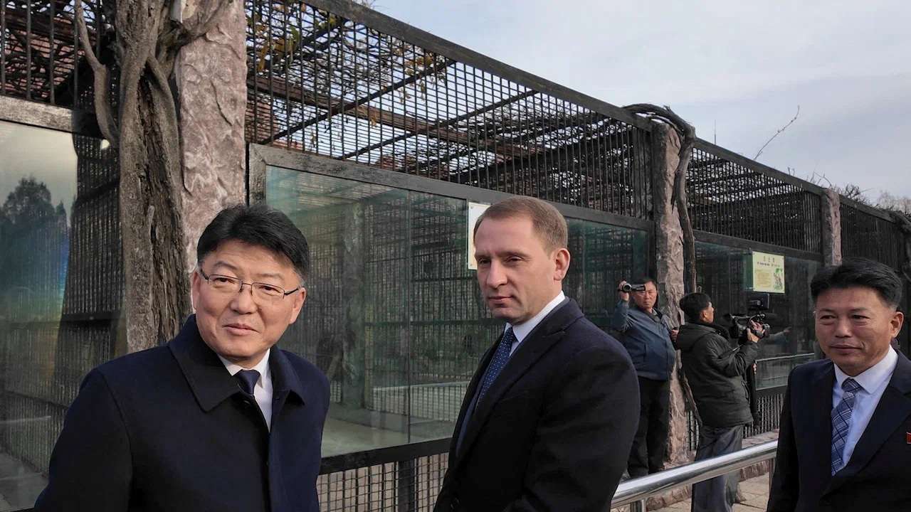Russia transfers more than 70 animals to North Korean zoo