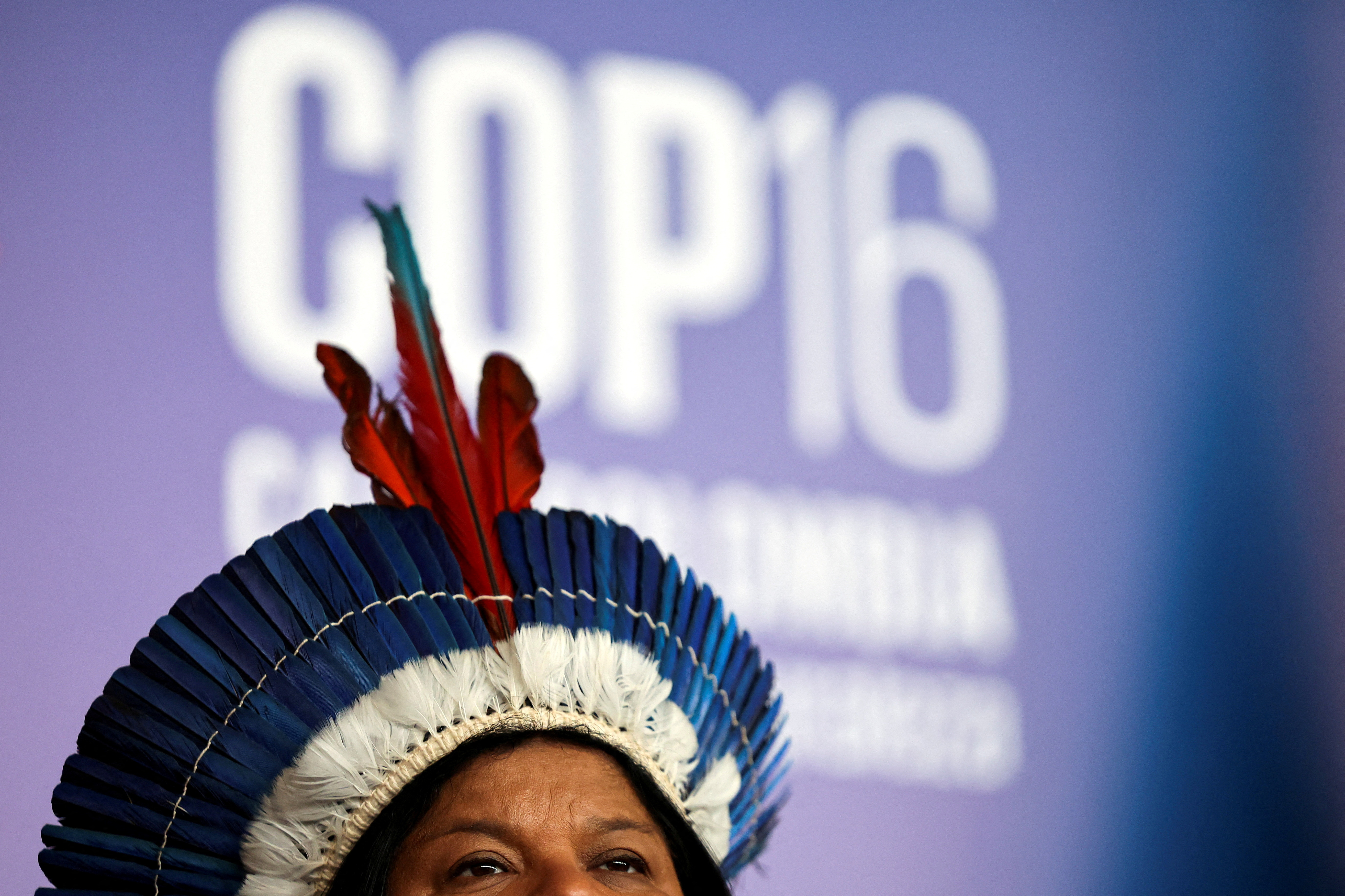 FILE PHOTO: 16th United Nations Biodiversity Summit (COP16), in Yumbo