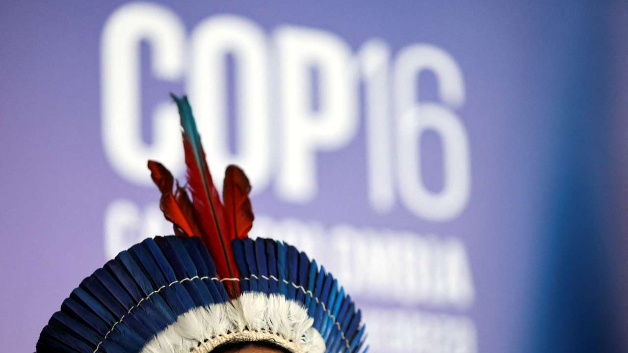 FILE PHOTO: 16th United Nations Biodiversity Summit (COP16), in Yumbo