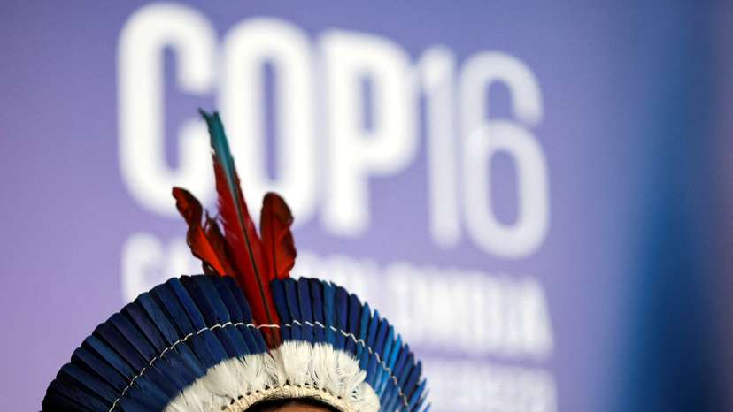 FILE PHOTO: 16th United Nations Biodiversity Summit (COP16), in Yumbo