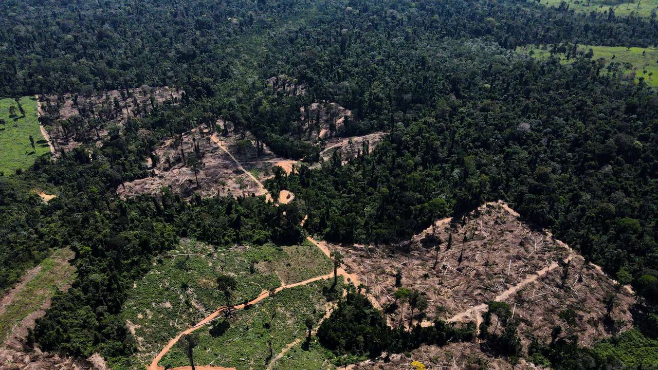 FILE PHOTO: A view shows a deforested area in the middle of the Amazon Forest in Uruara