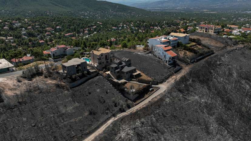 FILE PHOTO: Aftermath of a wildfire in Dionysos near Athens