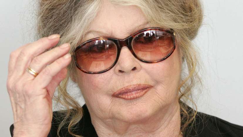 FILE PHOTO: Brigitte Bardot speaks at European Commission headquarters in Brussels
