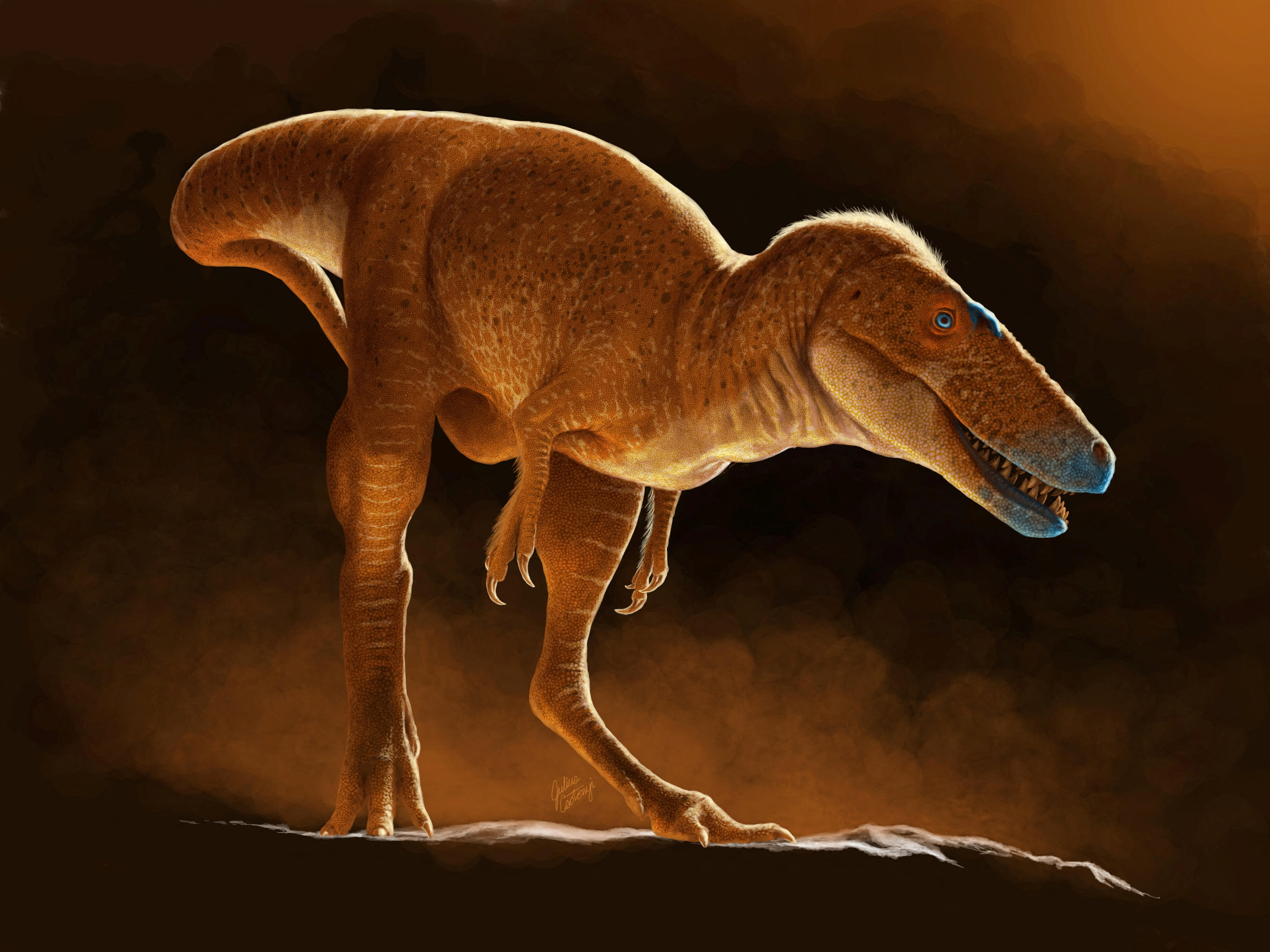 A life reconstruction of the newly identified dinosaur species Khankhuuluu mongoliensis, which lived 86 million years ago in Mongolia, is seen in this handout illustration