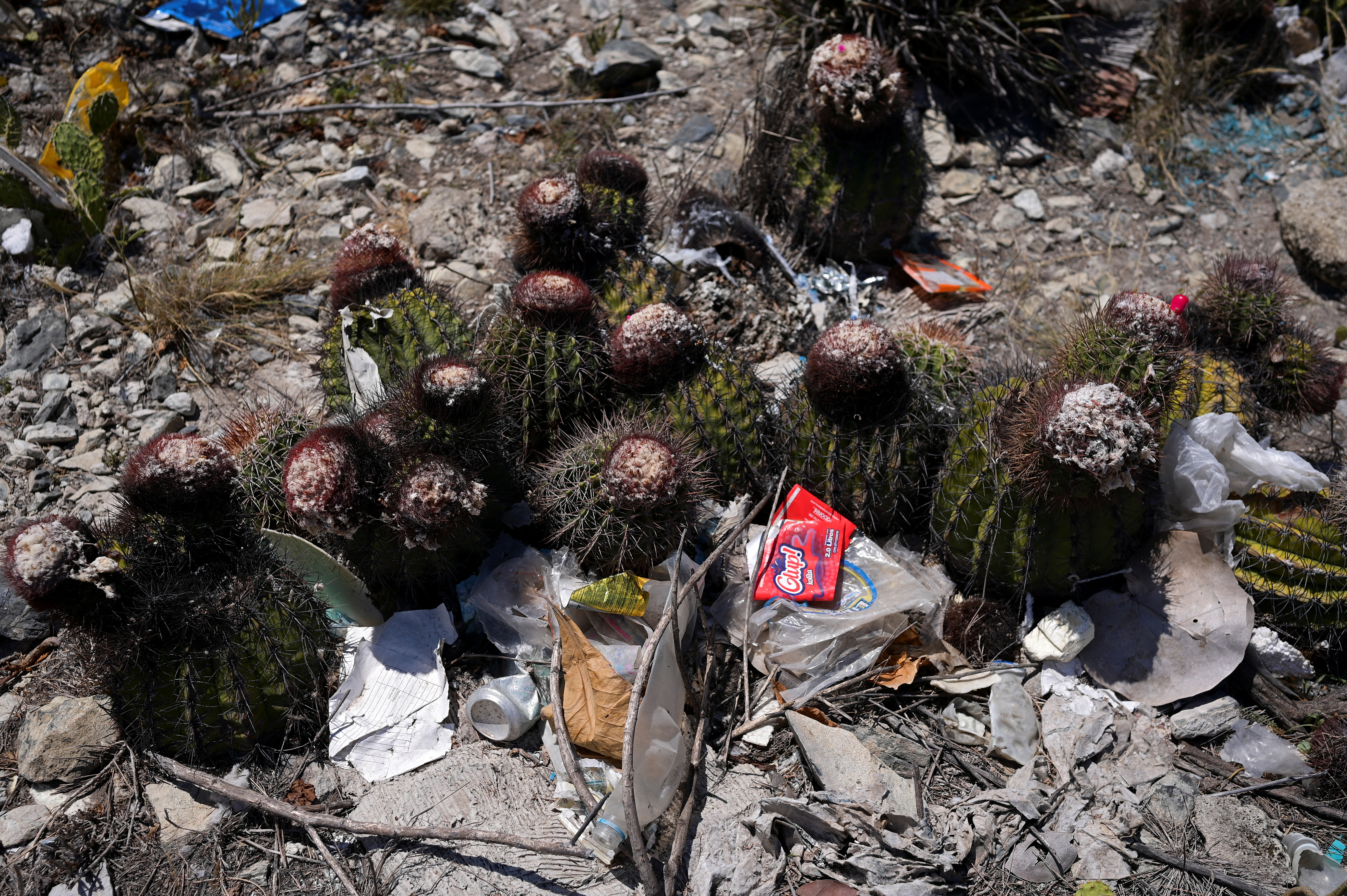 FILE PHOTO: Trying to attract tourists, Venezuela builds infrastructure in fragile ecosystems