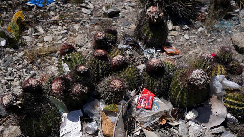 FILE PHOTO: Trying to attract tourists, Venezuela builds infrastructure in fragile ecosystems