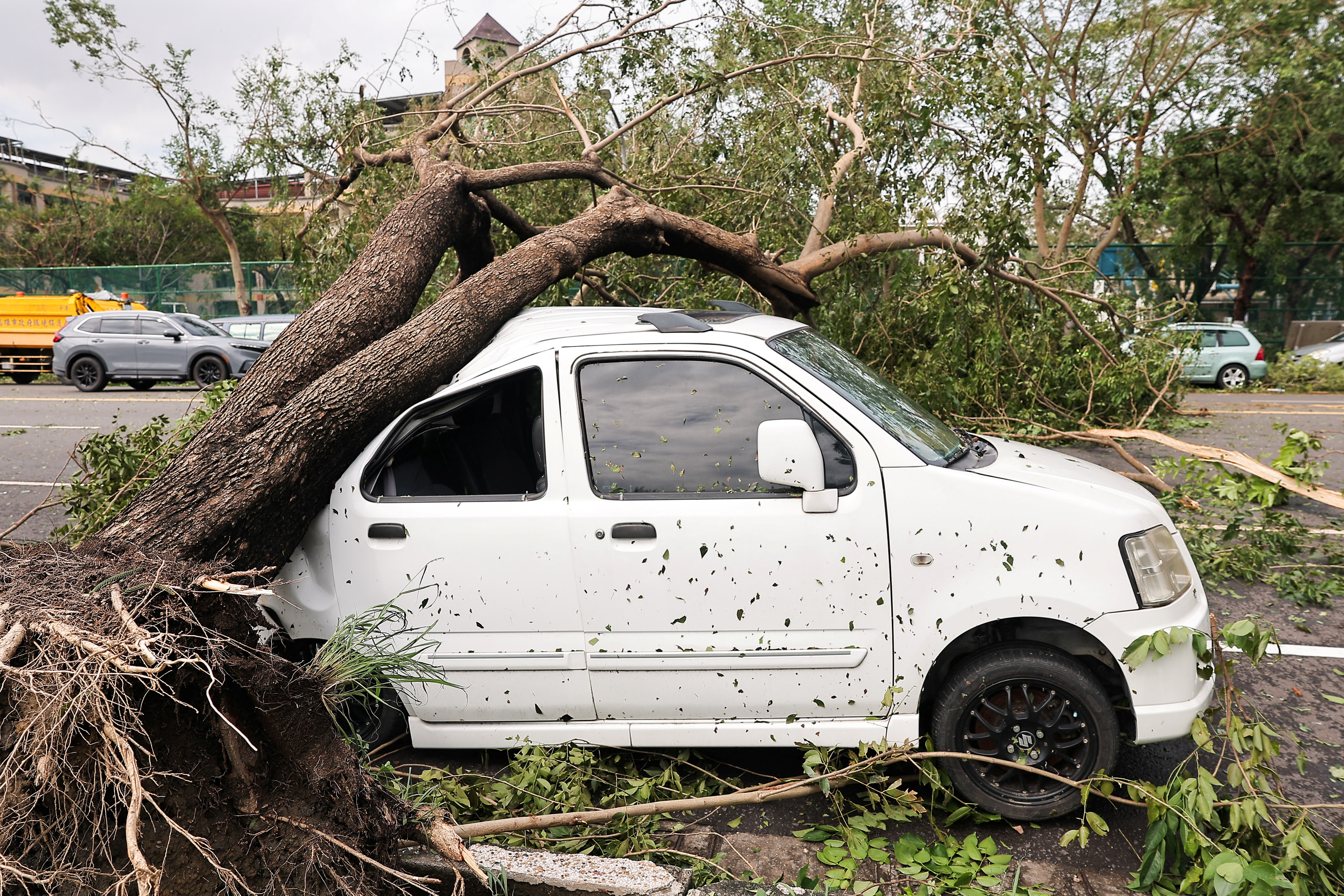 A tree lies on top of a car after Typhoon Krathon made landfall in Kaohsiung