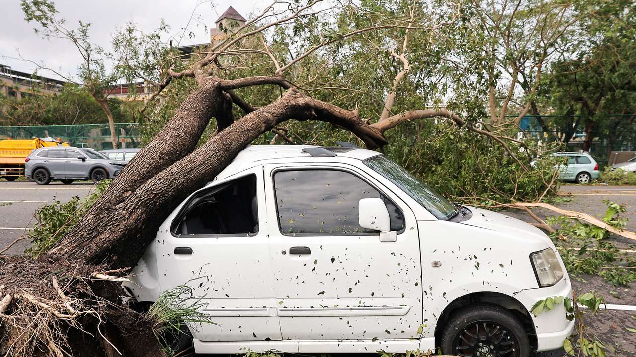 A tree lies on top of a car after Typhoon Krathon made landfall in Kaohsiung