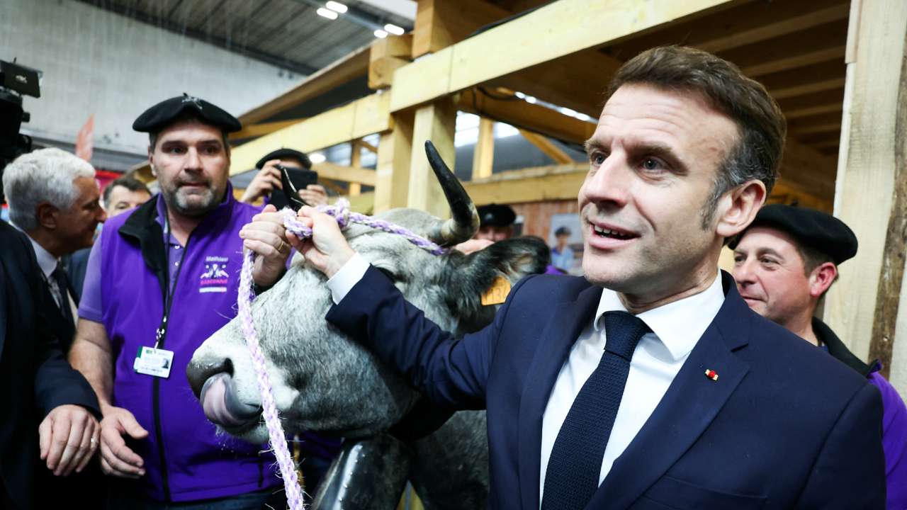 61st International Agricultural Fair (Salon de l'Agriculture) in Paris