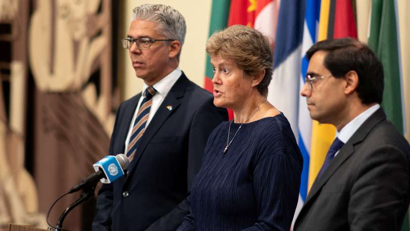 U.N. Security Council in New York