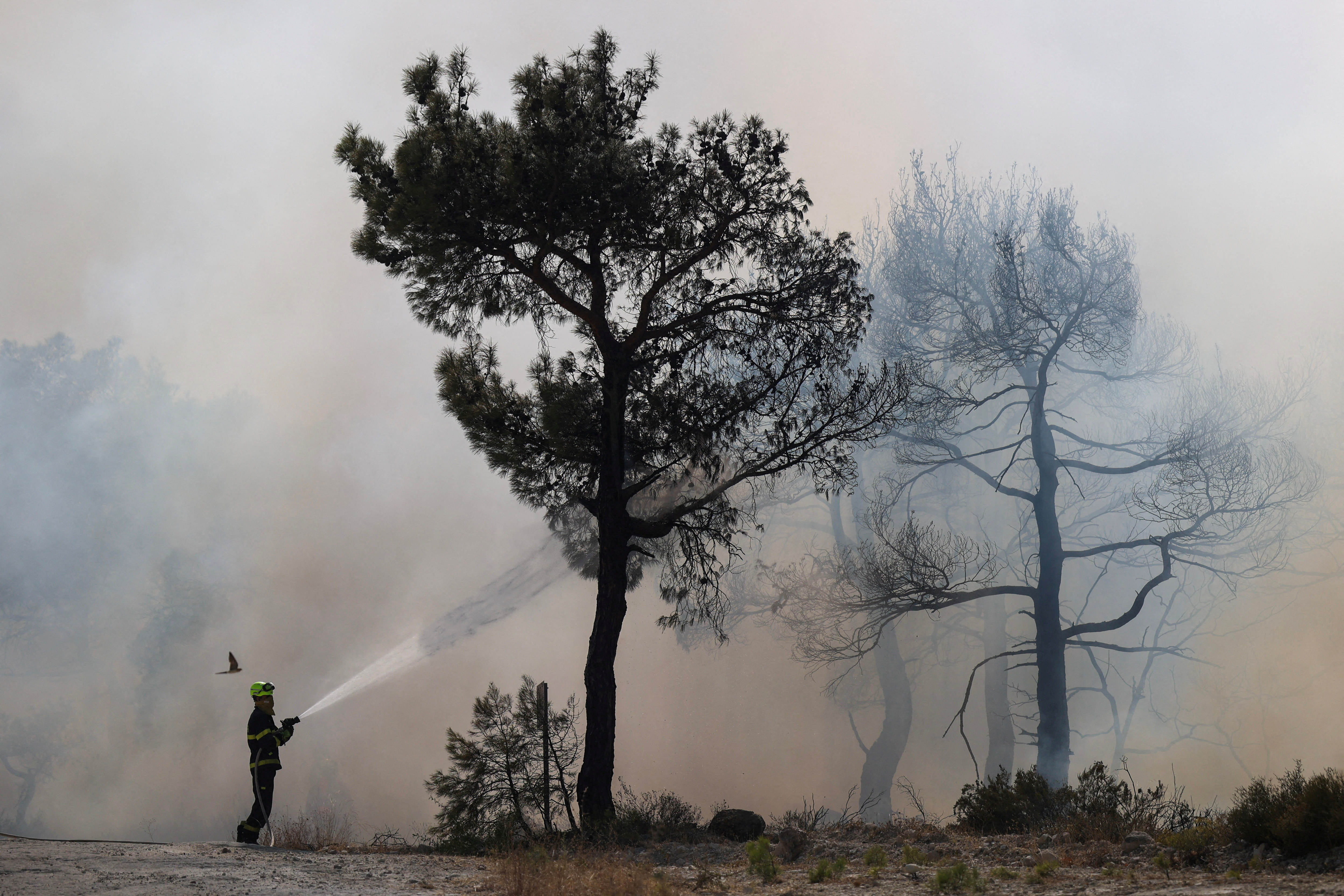 FILE PHOTO: Wildfire in the region of Evros