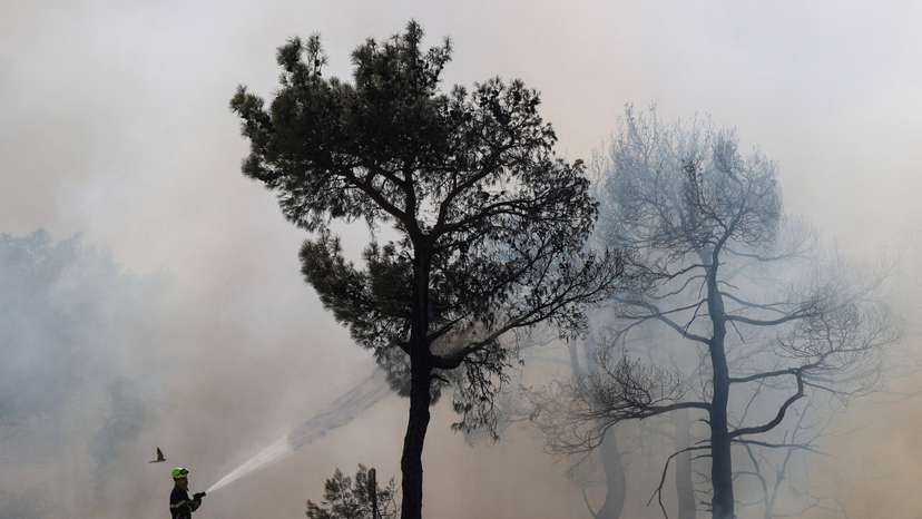 FILE PHOTO: Wildfire in the region of Evros
