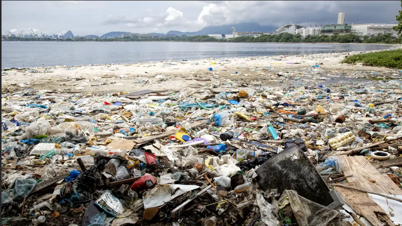 Todos os anos, cerca de 15 milhões de toneladas de plástico chegam aos oceanos, o equivalente a dois caminhões de lixo despejados no mar a cada minuto.