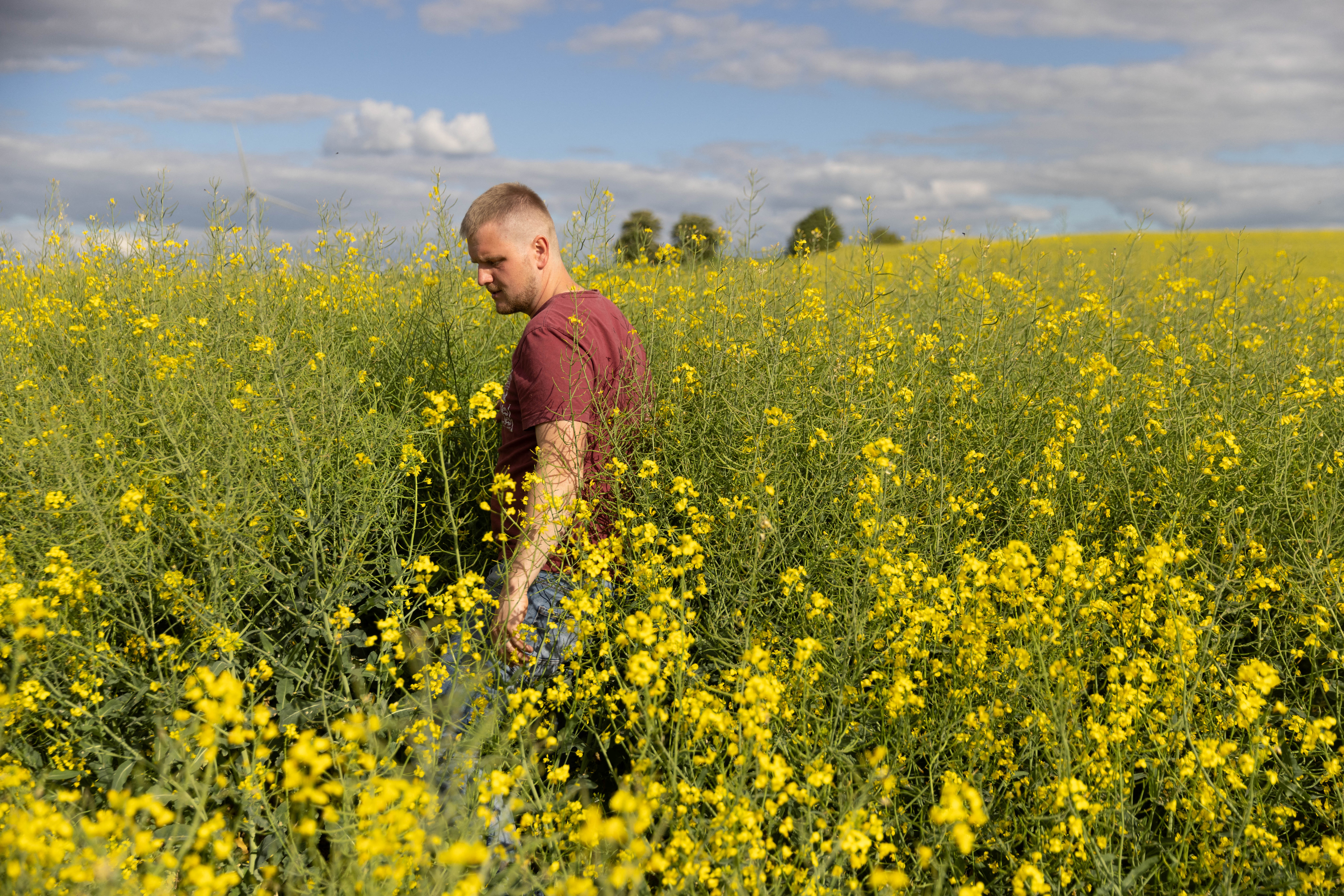 Polish farmer Mateusz Kulecki walks through his farm in Sadluki