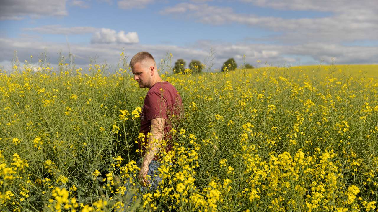 Polish farmer Mateusz Kulecki walks through his farm in Sadluki