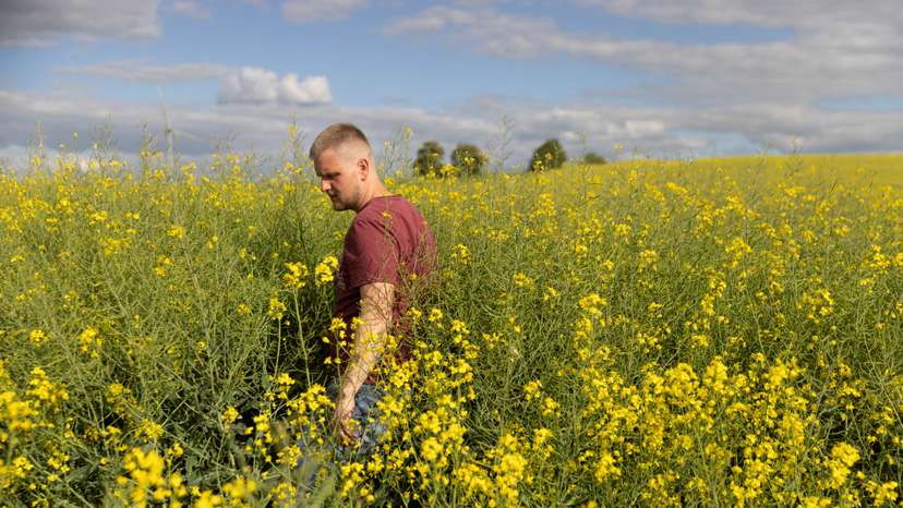 Polish farmer Mateusz Kulecki walks through his farm in Sadluki