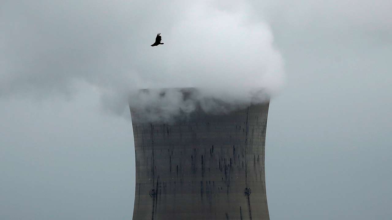 A bird flies over the Three Mile Island Nuclear power plant in Goldsboro