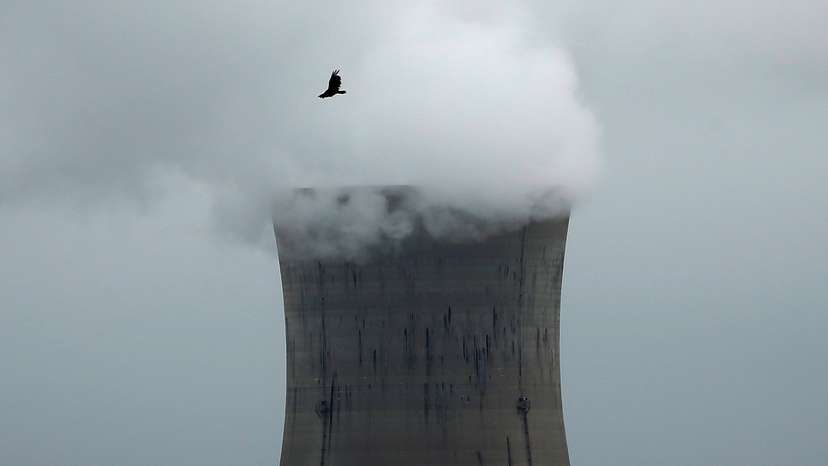 A bird flies over the Three Mile Island Nuclear power plant in Goldsboro
