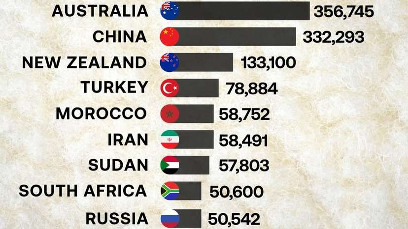 Wool remains the world’s most important animal fiber, sustaining economies and rural communities