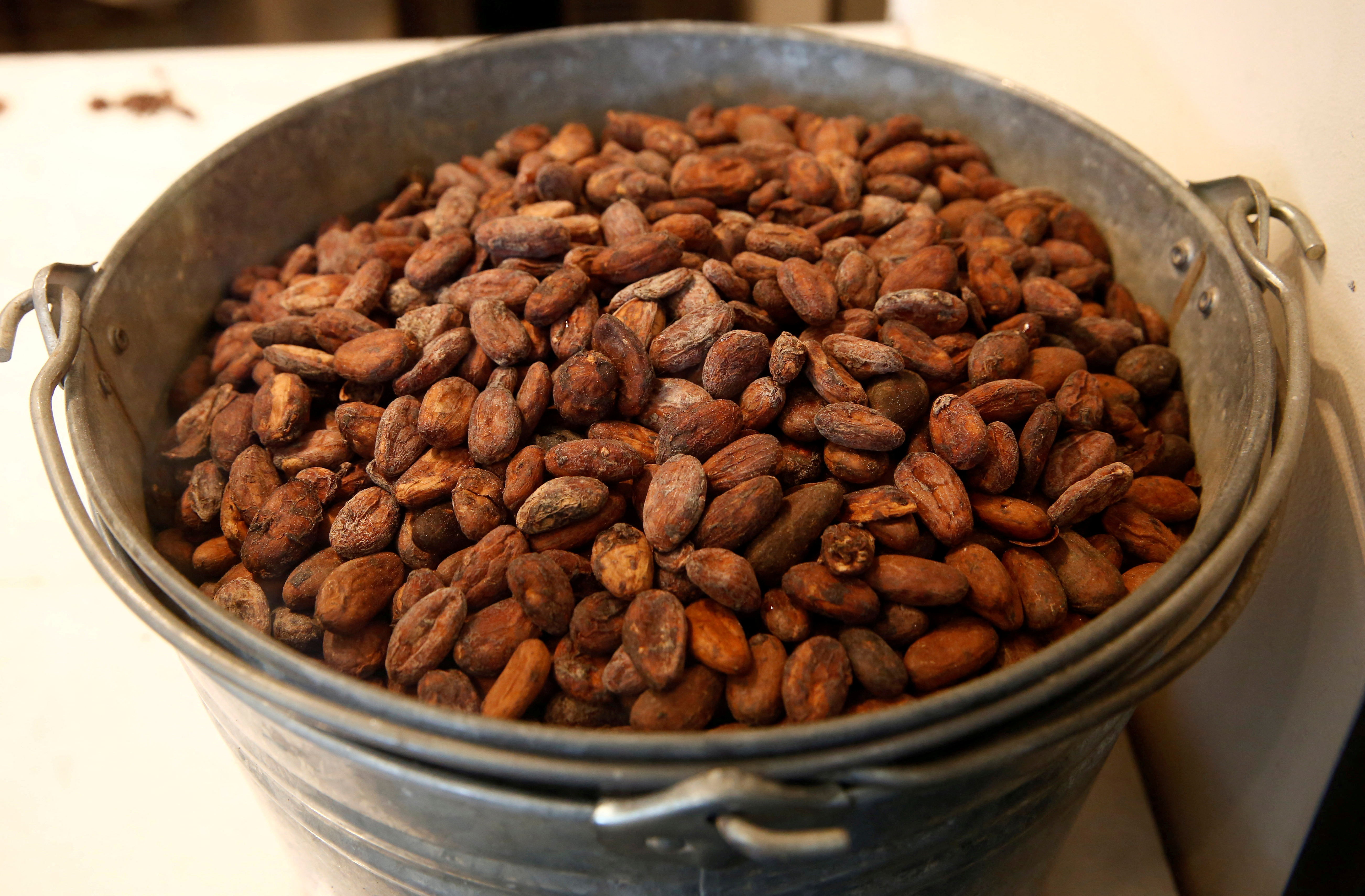 FILE PHOTO: Cacao beans are seen in Tokyo