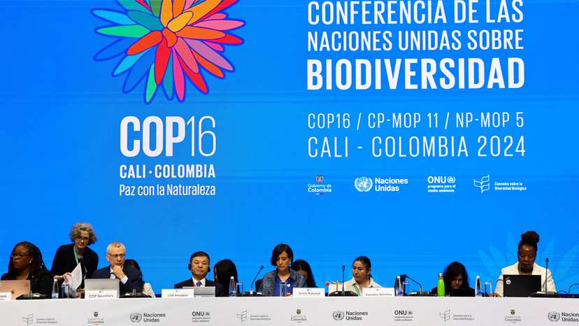 16th United Nations Biodiversity Summit