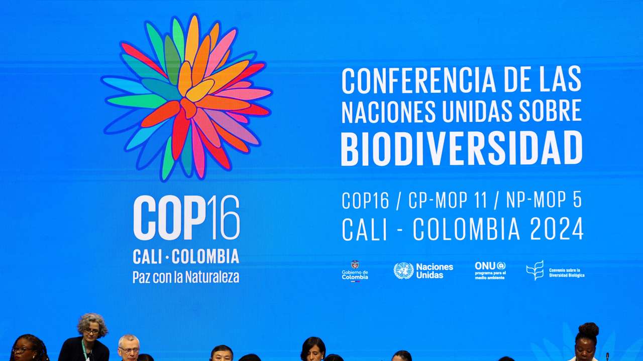 16th United Nations Biodiversity Summit