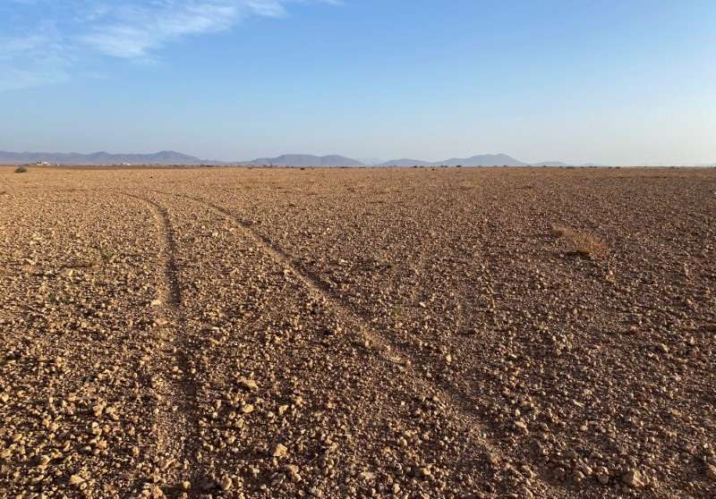 FILE PHOTO: A dry field is pictured near Marrakech