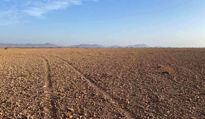 FILE PHOTO: A dry field is pictured near Marrakech