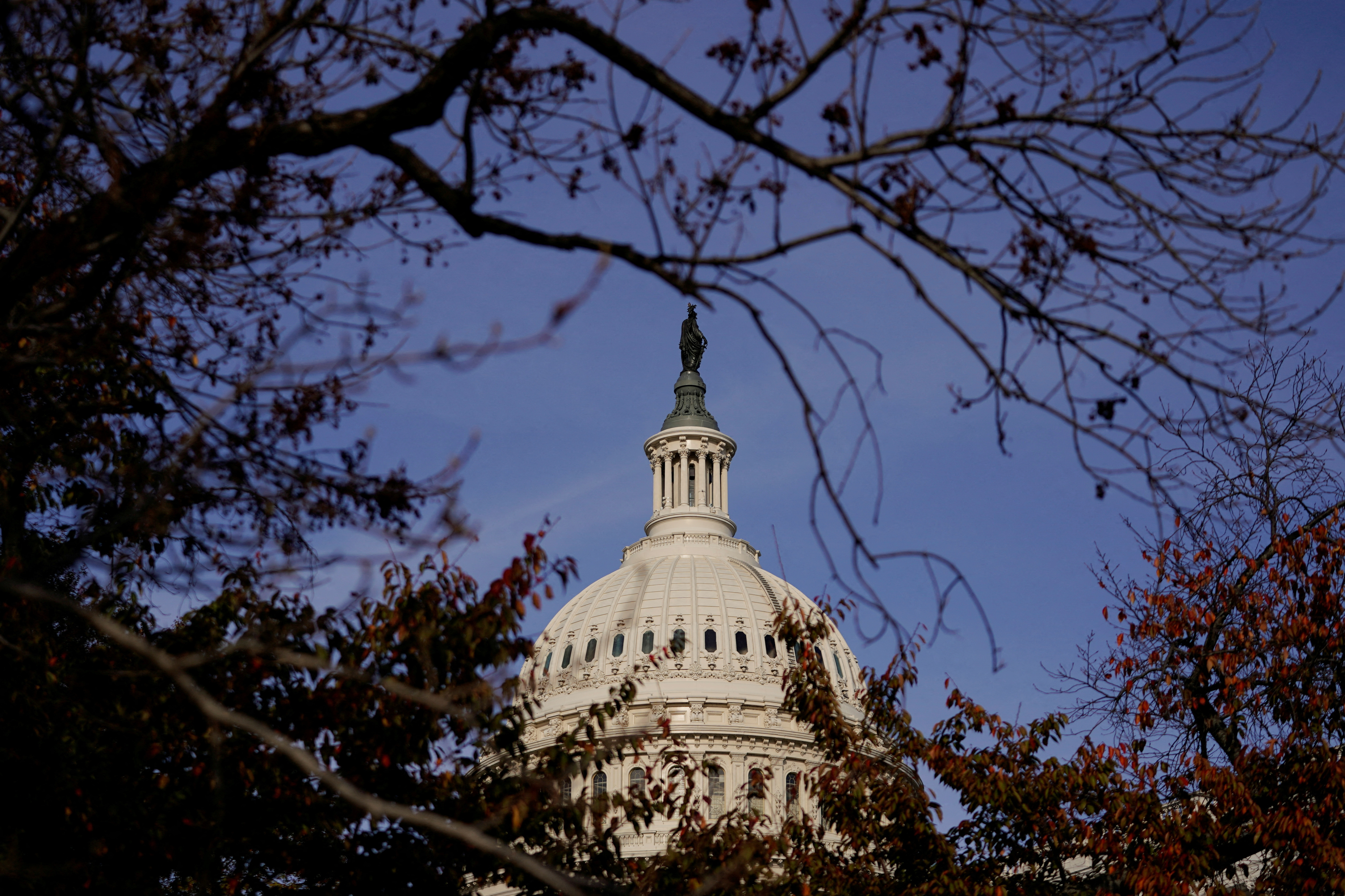 FILE PHOTO: The U.S. Capitol dome is seen in Washington
