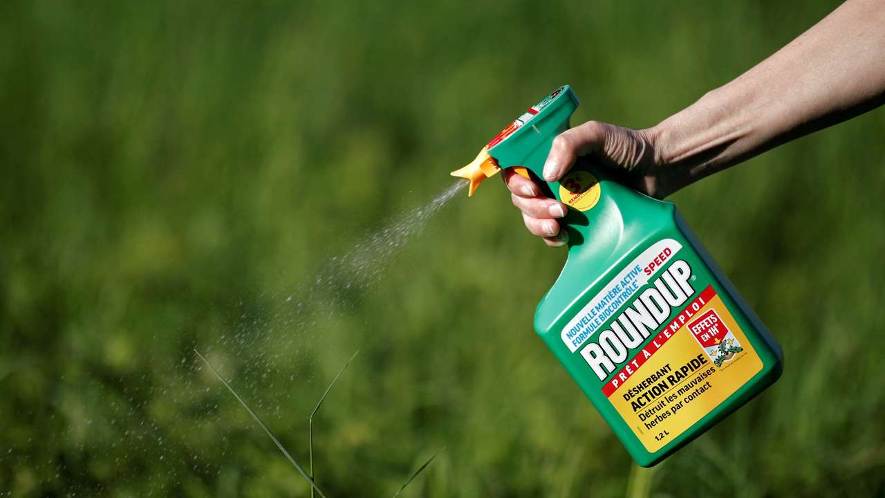 FILE PHOTO: A woman uses a Monsanto's Roundup weedkiller spray without glyphosate in a garden in Ercuis near Paris