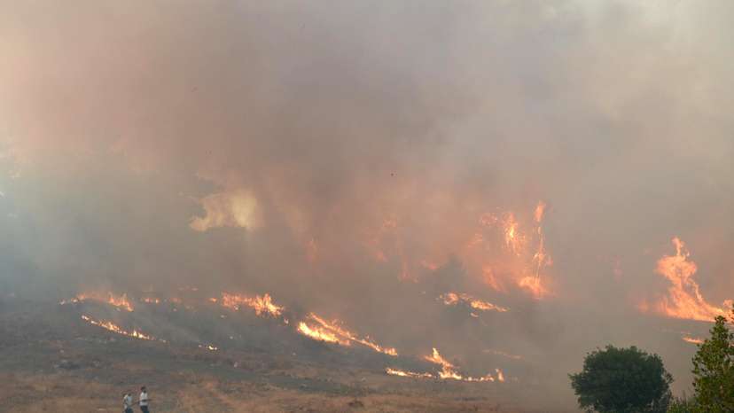 Wildfire in Turkey's Bursa province