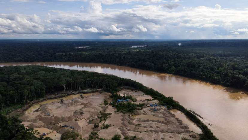 FILE PHOTO: Amazon rainforest gold mining is poisoning scores of threatened species