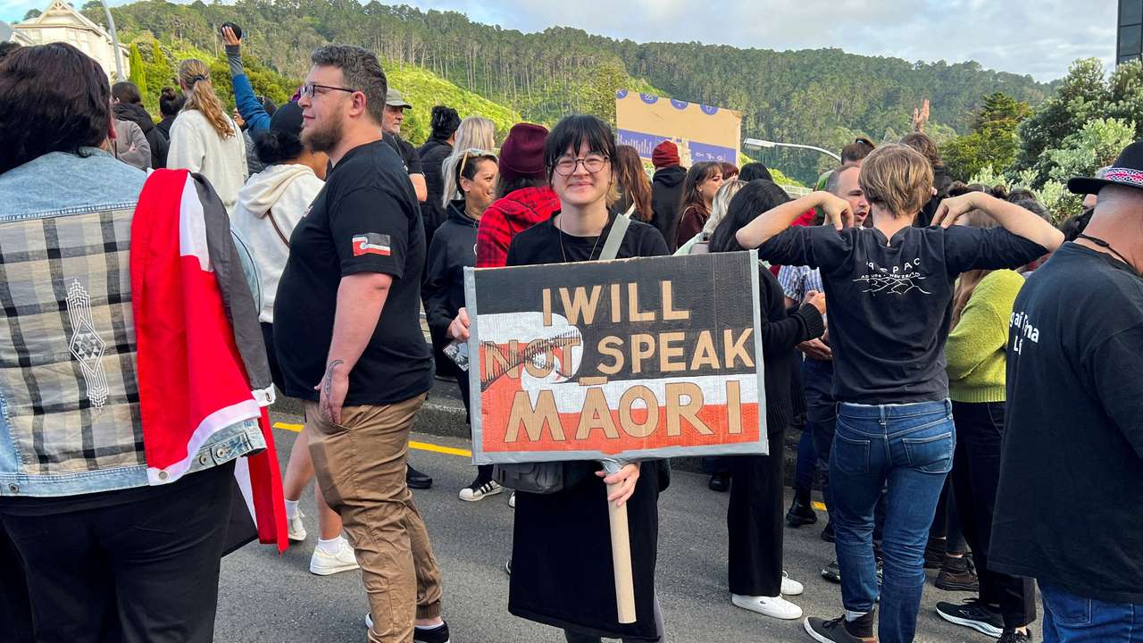 FILE PHOTO: Protest against the incoming government and its policies, in Wellington