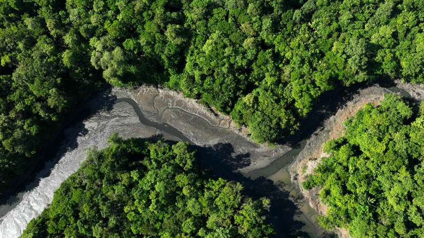 Illegal industrial dumping threatens residents of Belem, the host city of the Amazon Summit