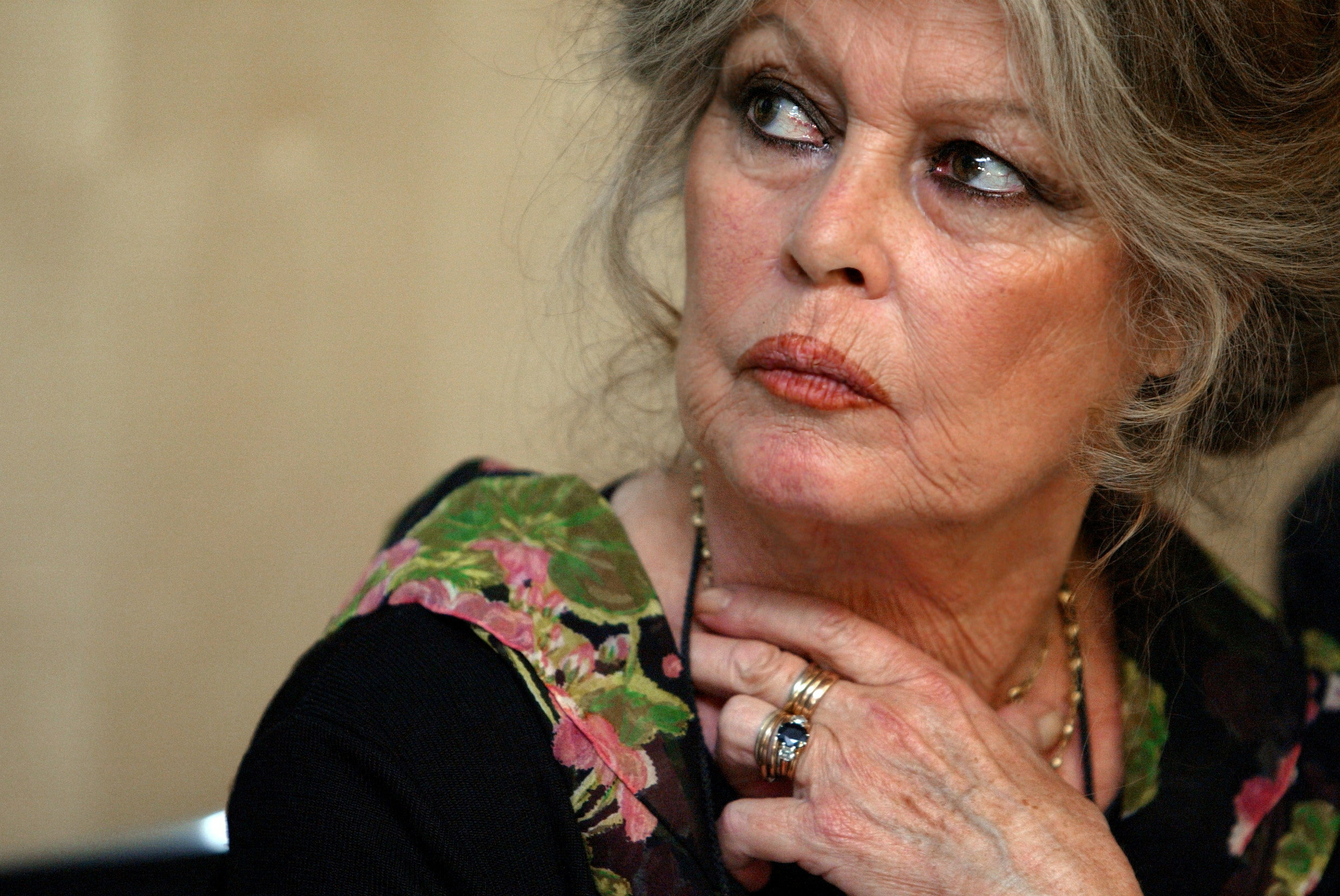 FILE PHOTO: FRENCH MOVIE STAR BRIGITTE BARDOT SEEN DURING A NEWS CONFERENCE.