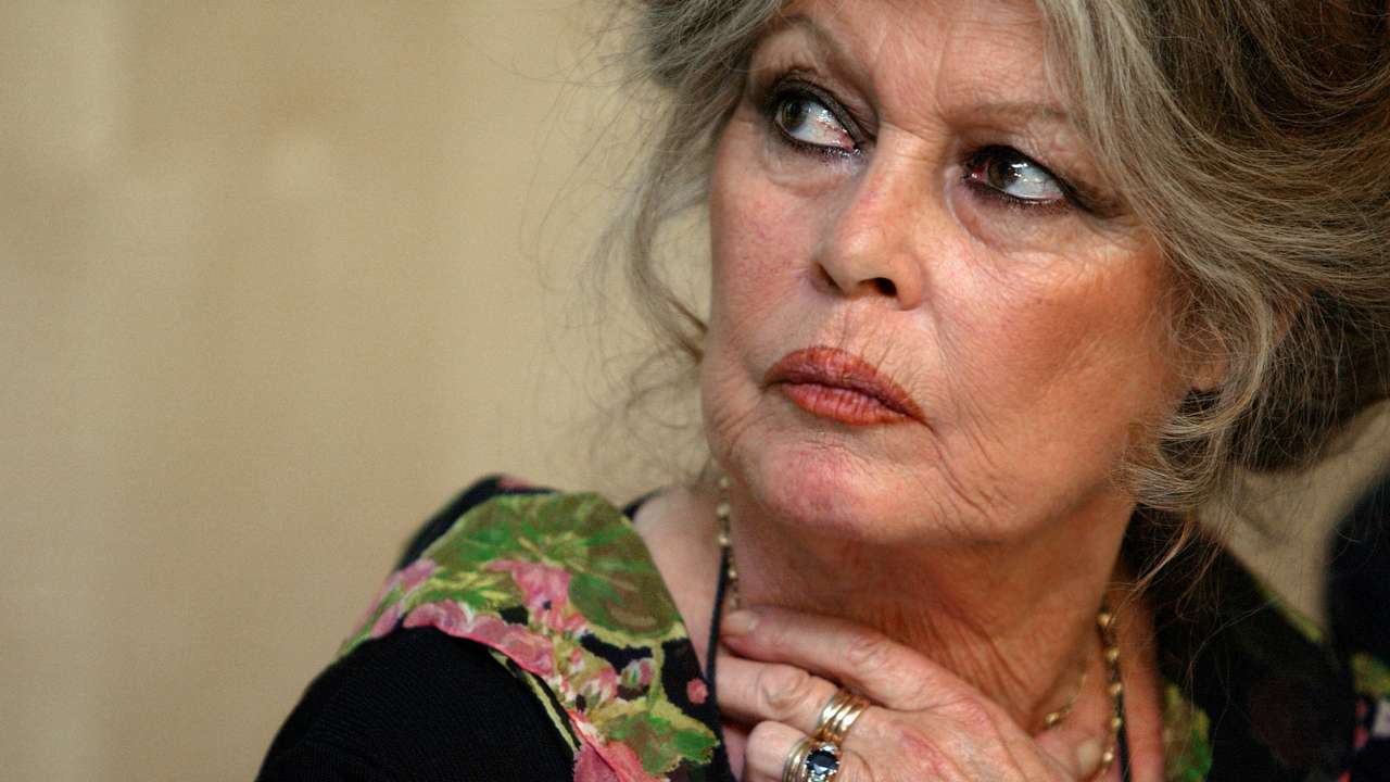 FILE PHOTO: FRENCH MOVIE STAR BRIGITTE BARDOT SEEN DURING A NEWS CONFERENCE.