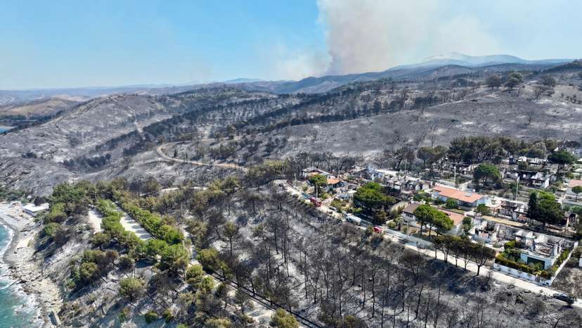 Aftermath of a wildfire in Seferihisar near Izmir