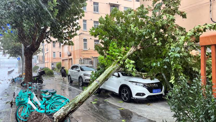 Aftermath of Typhoon Bebinca in Shanghai