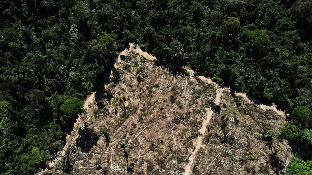 A view of a deforested area in the middle of the Amazon forest in the municipality of Uruara, Para, Brazil