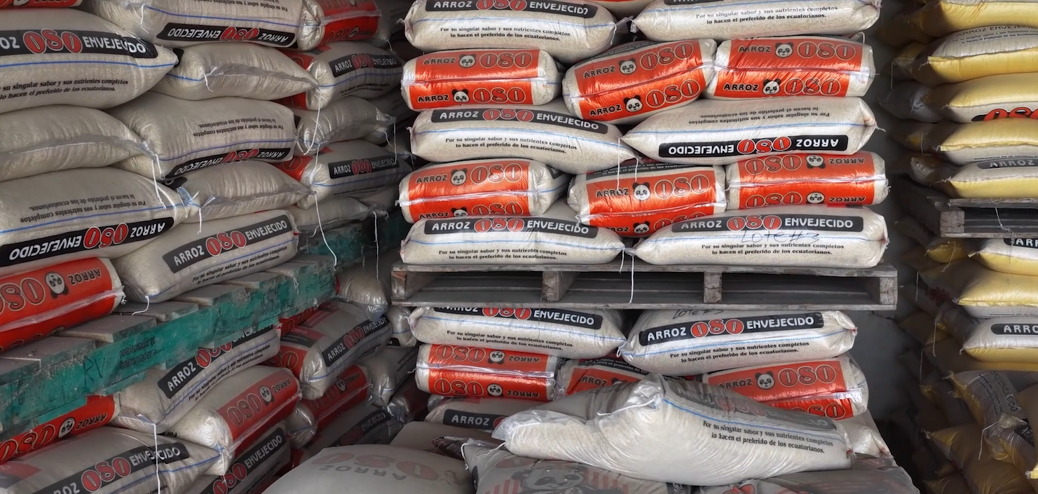 Ecuador rice farmers hit by crisis amid Colombia trade dispute
