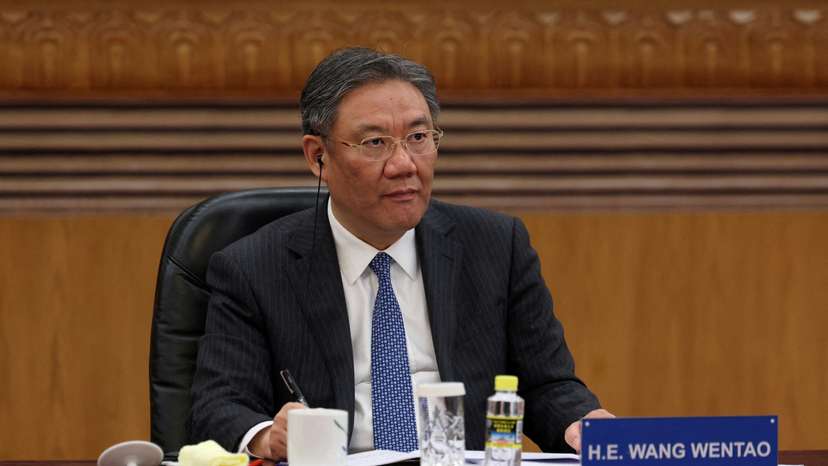 FILE PHOTO: Chinese Commerce Minister Wang Wentao in Beijing