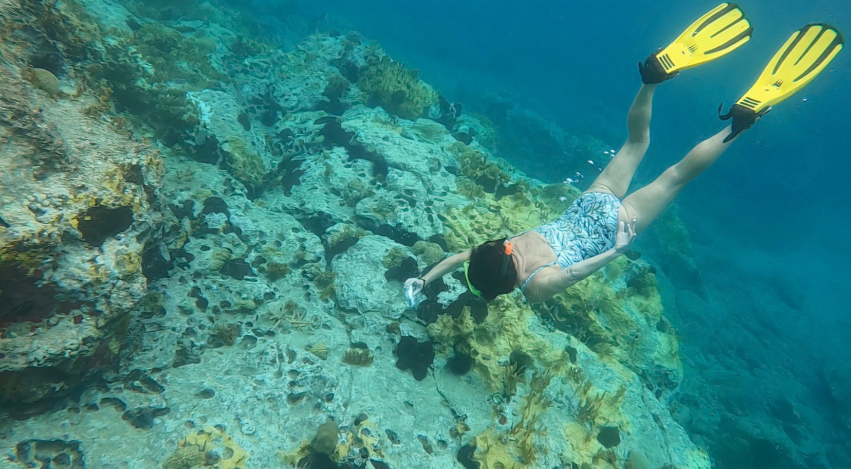 FILE PHOTO: Marine scientist Deborah Brosnan does research dive on a coral reef in Antigua and Barbuda