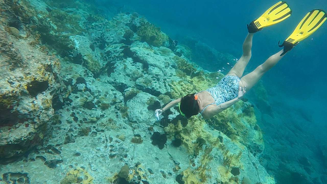 FILE PHOTO: Marine scientist Deborah Brosnan does research dive on a coral reef in Antigua and Barbuda
