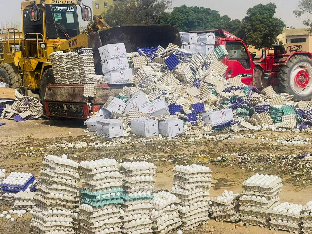 Some aid bound for Gaza rots as Rafah crossing remains closed