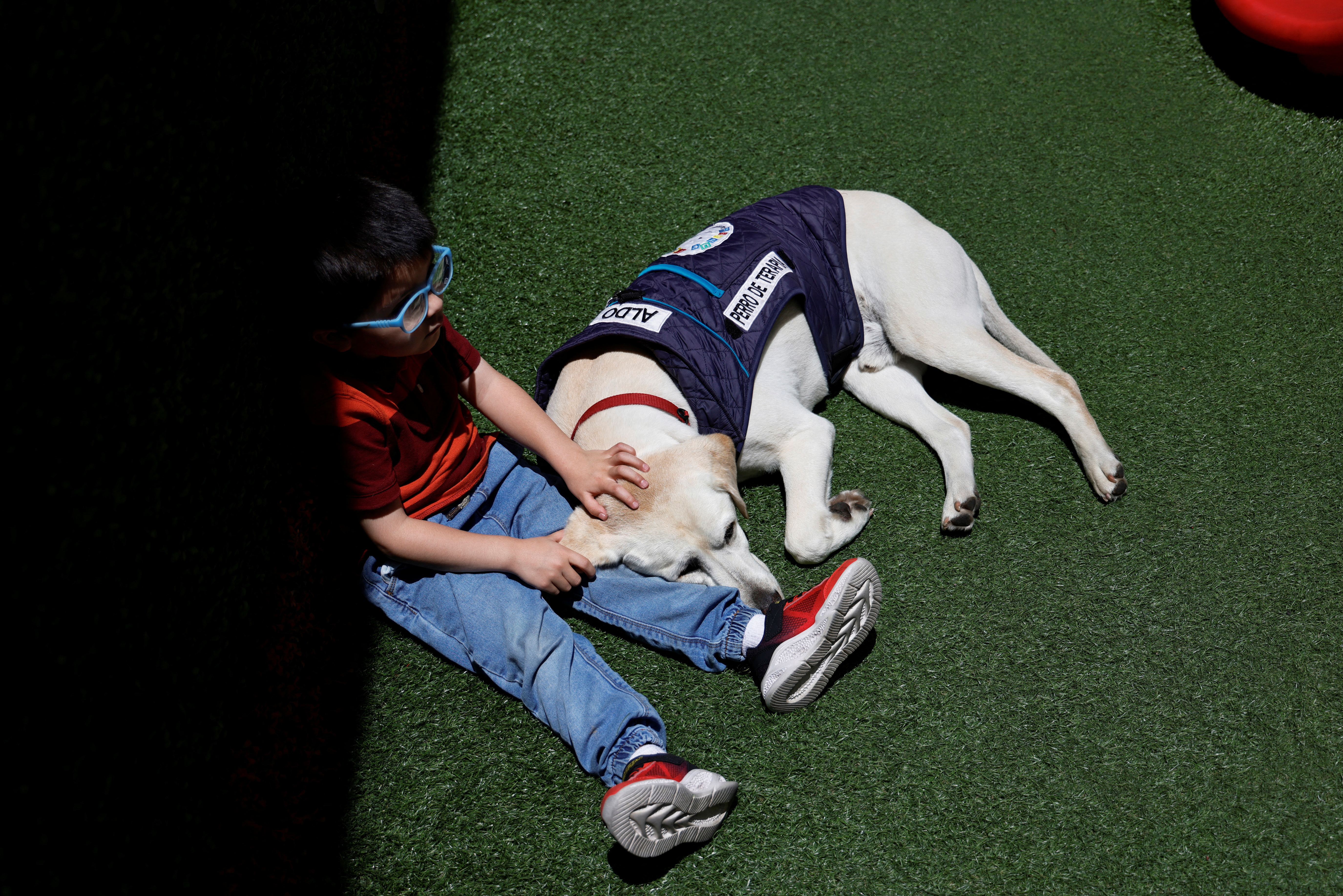 Meet the emotional support dog transforming children's dental visits, in Quito