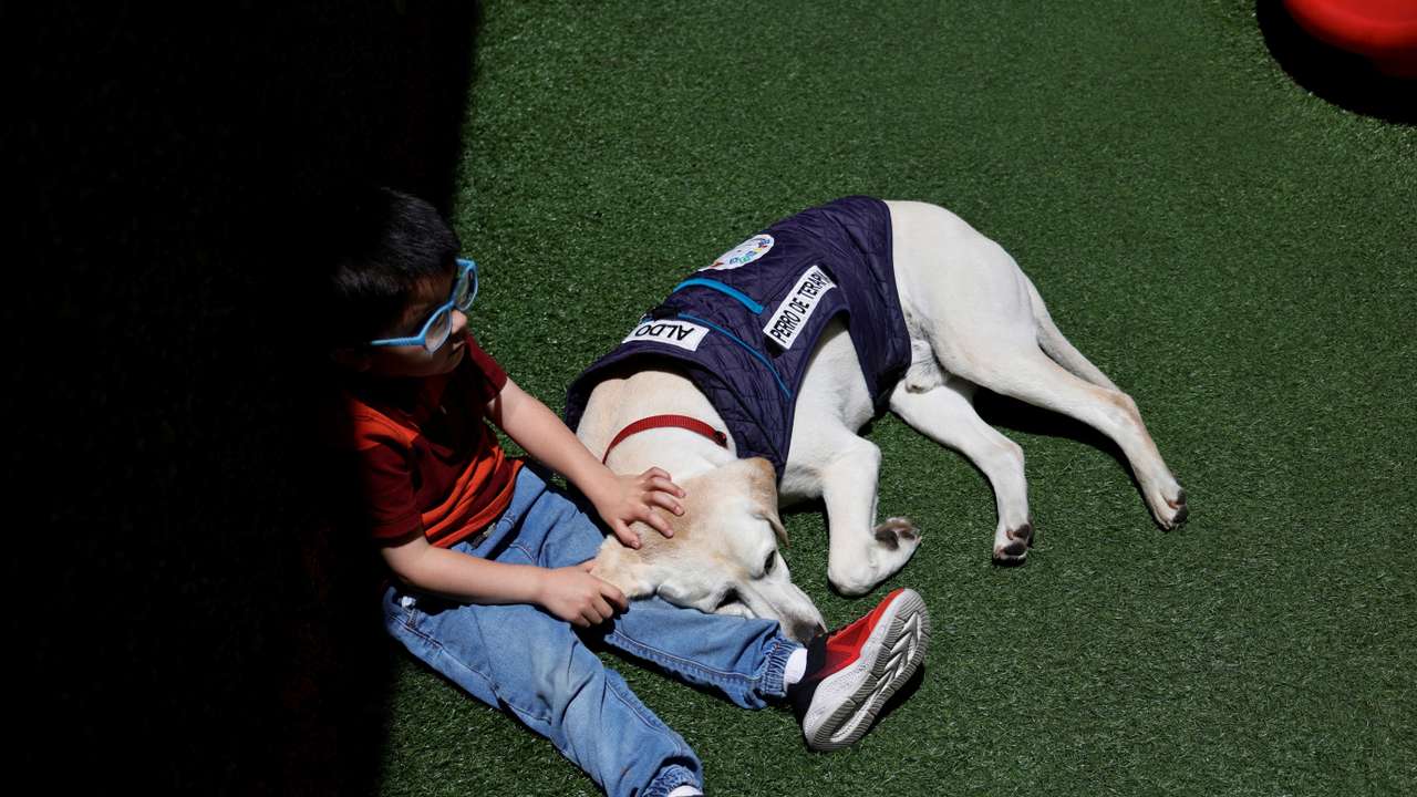 Meet the emotional support dog transforming children's dental visits, in Quito