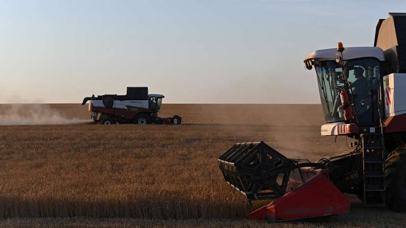 FILE PHOTO: Wheat harvest in Russia's Rostov Region